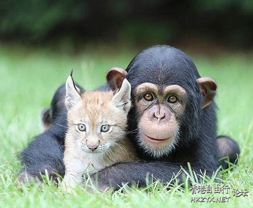   Ecology 生態留影