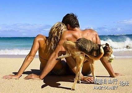   Pets 寵物護理 +紀念堂