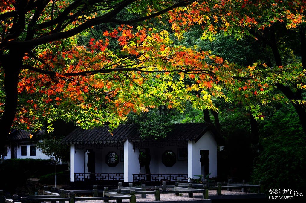   Photography 攝影特區