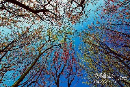  Photography 攝影特區