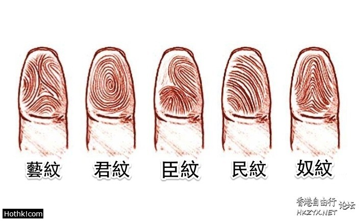 指紋幾個鬥是富貴命？  风水玄学 + 生肖運程