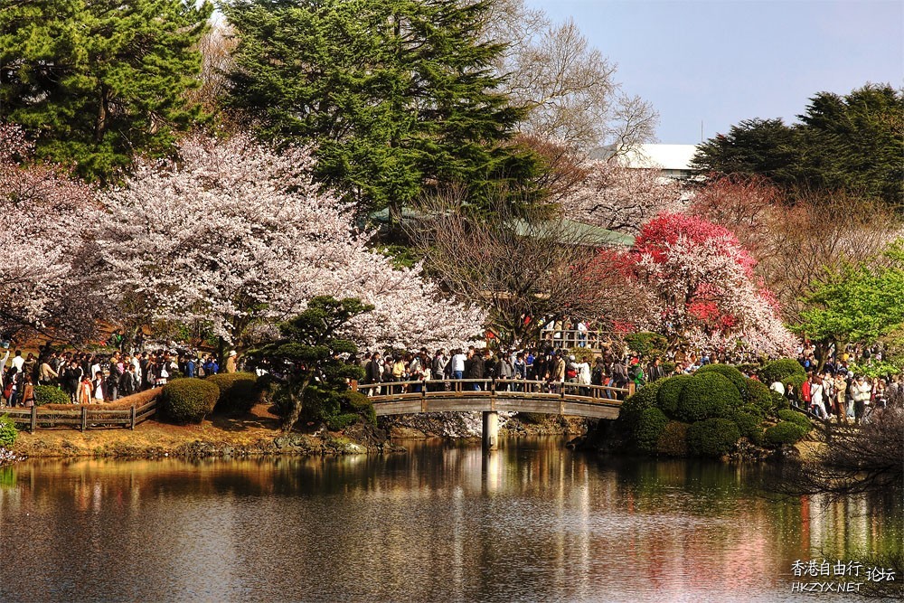 日本多景  World Travel 世界旅遊