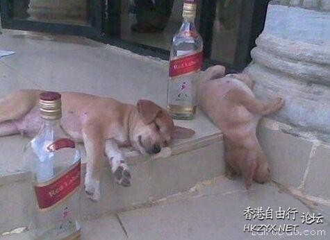 幽默短笑話讓你樂翻天   一天三笑 + 解悶處