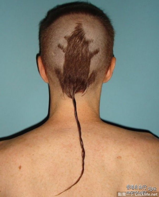 男髮型一名驚人  Hair Styles+Hair Weaving 織髮