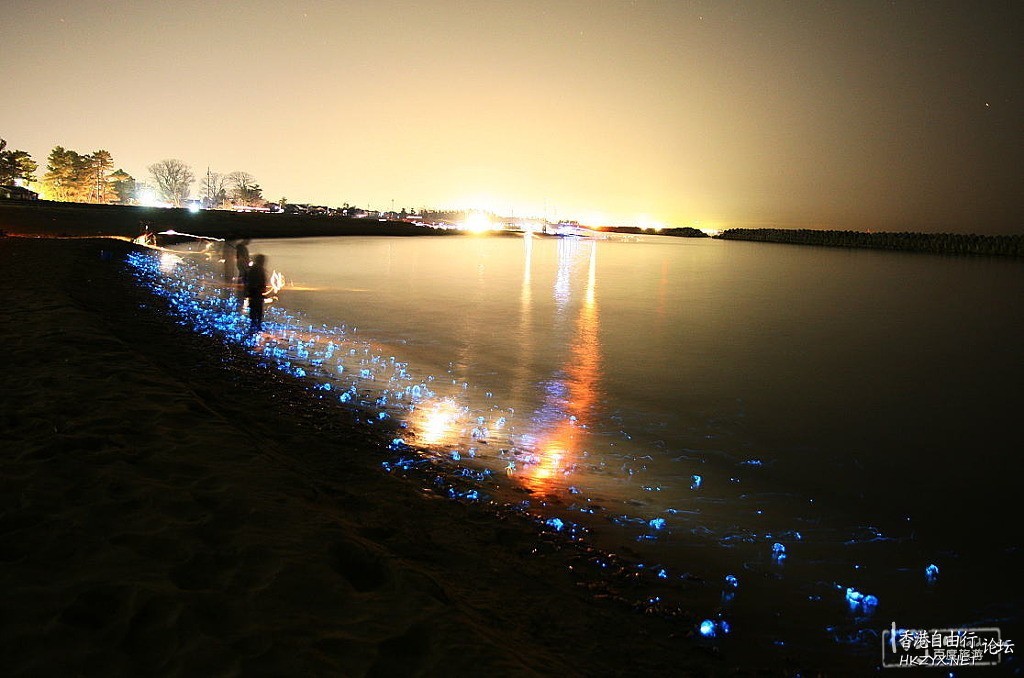   Photography 攝影特區