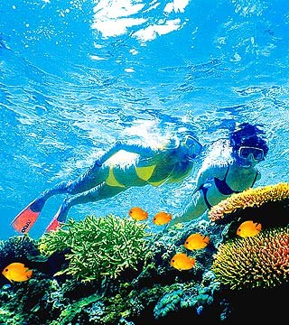 Great Barrier Reef大堡礁  World Trave...欧美