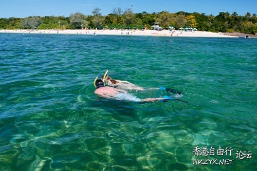 Great Barrier Reef大堡礁  World Trave...欧美