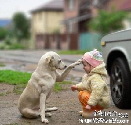 最熱門十大爆笑  Funny Baby