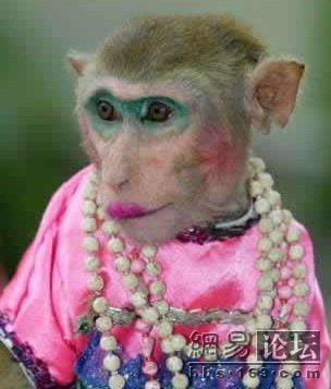   Pets 寵物護理 +紀念堂