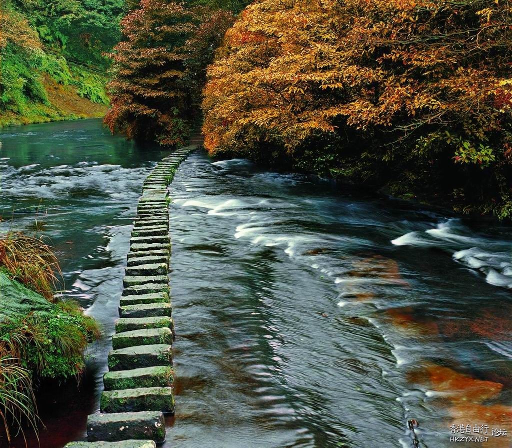 秋景攝影  Photography 攝影特區