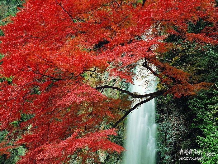   Photography 攝影特區