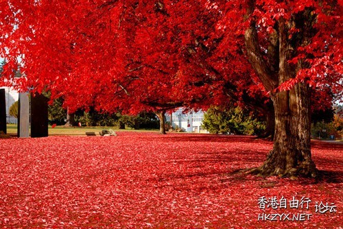   Photography 攝影特區