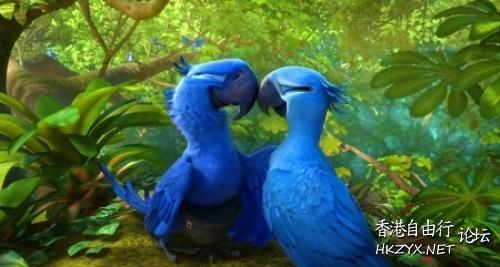 Birds: Kiss me please !  Birds 飛烏