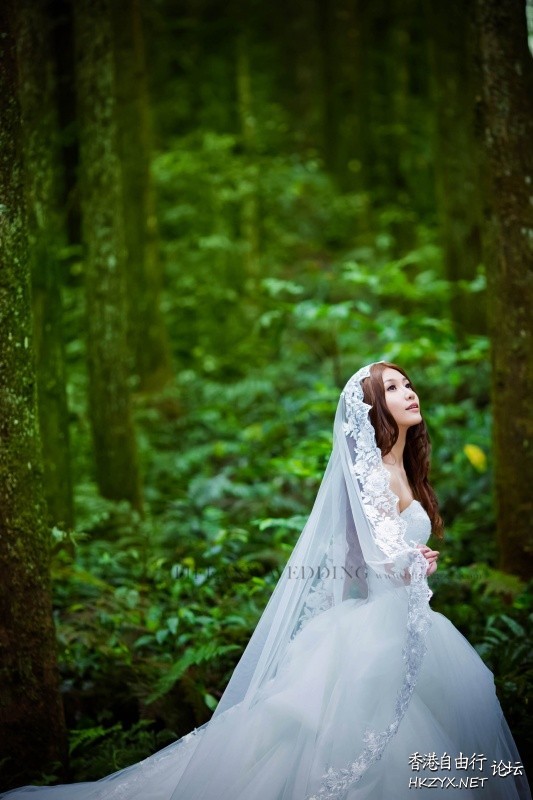 享受著森林浴-拍攝婚紗  婚礼服務