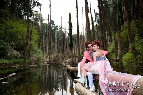 享受著森林浴-拍攝婚紗  婚礼服務