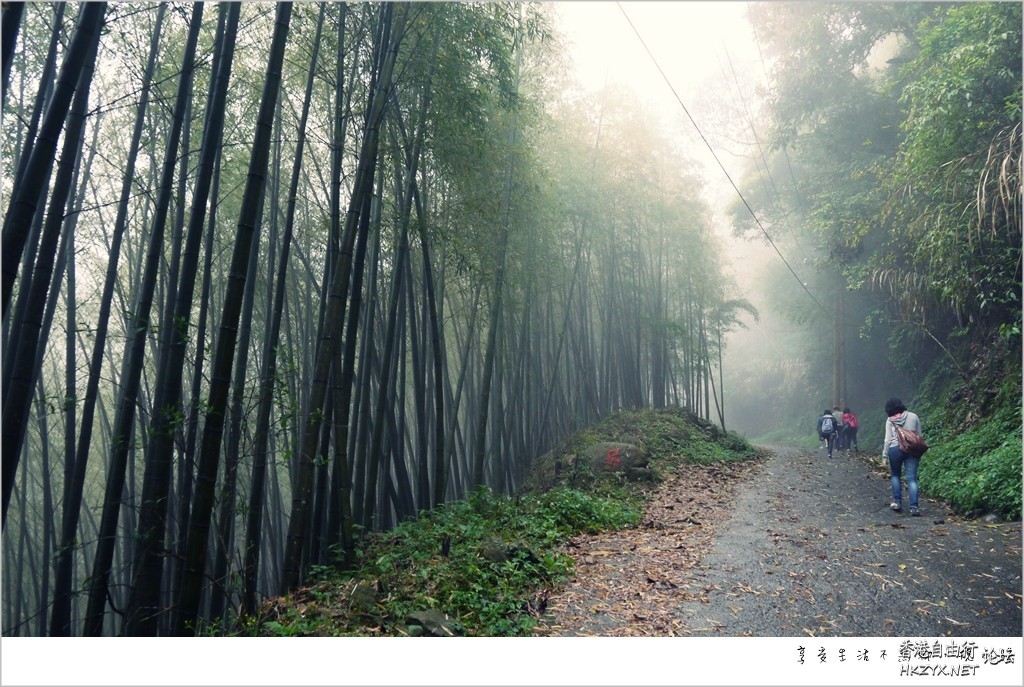   Photography 攝影特區