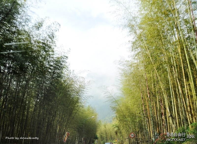   Photography 攝影特區