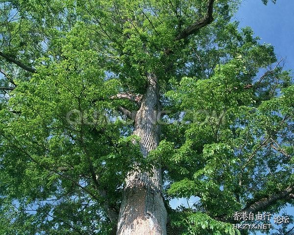   Photography 攝影特區