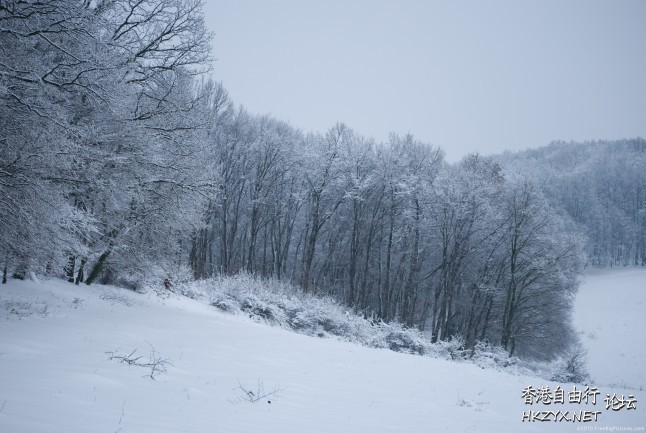 冬季雪景   Landscape 山水湖林