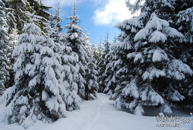 冬季雪景   Landscape 山水湖林