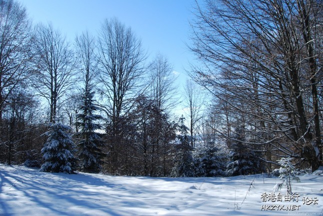 冬季雪景   Landscape 山水湖林