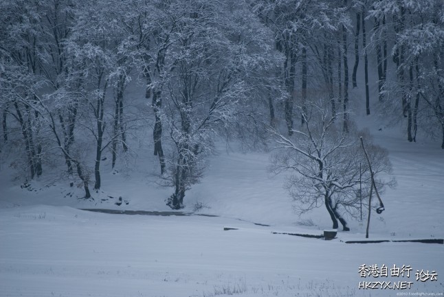 冬季雪景   Landscape 山水湖林