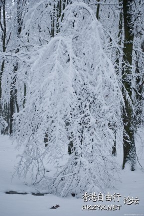 冬季雪景   Landscape 山水湖林