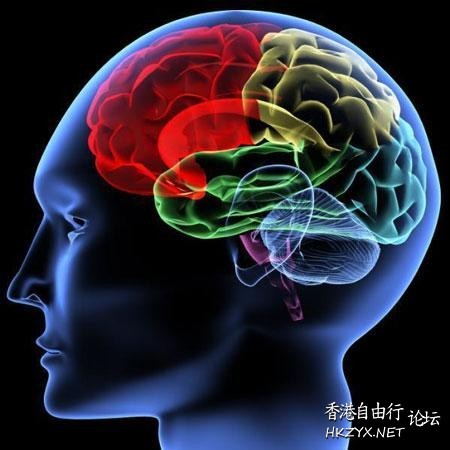 抹去或植入記憶  科技新知