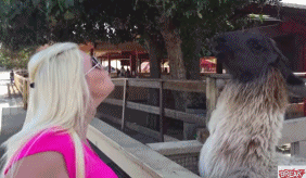 My first KISS !  Kiss 我要咀咀