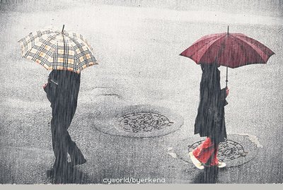 那是誰的眼淚在飛？  愛情感悟