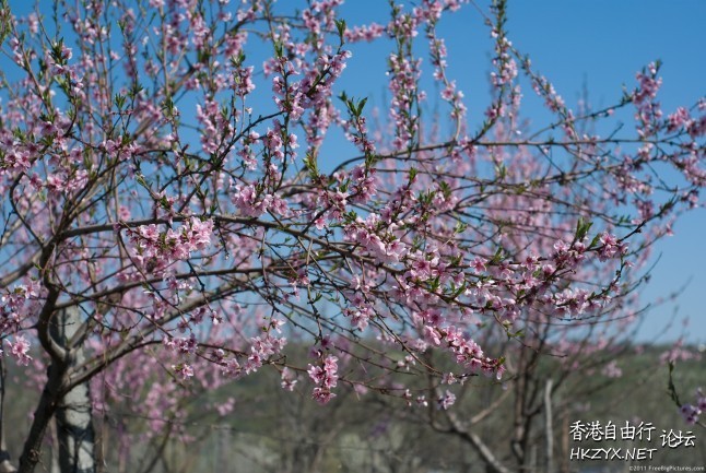   Photography 攝影特區