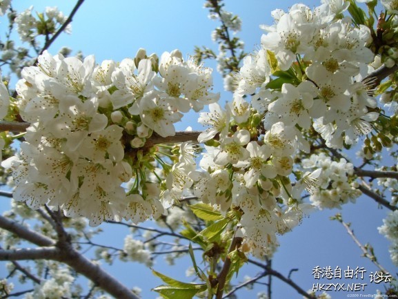   Photography 攝影特區