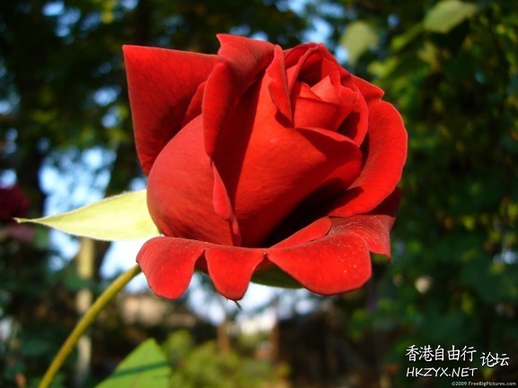   Photography 攝影特區