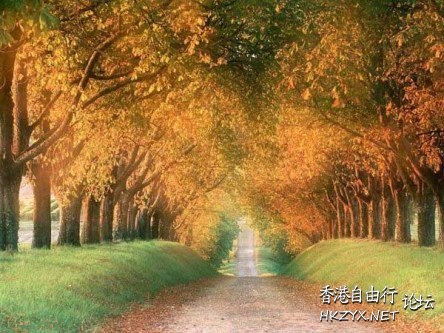    Landscape 山水湖林