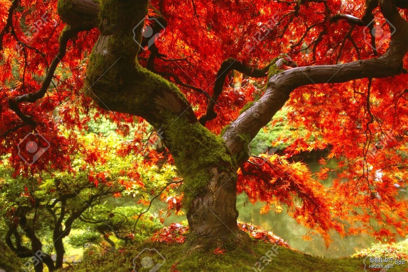    Landscape 山水湖林