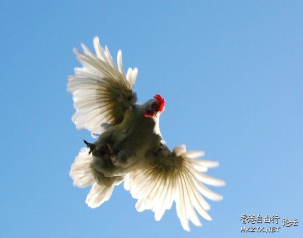   Photography 攝影特區