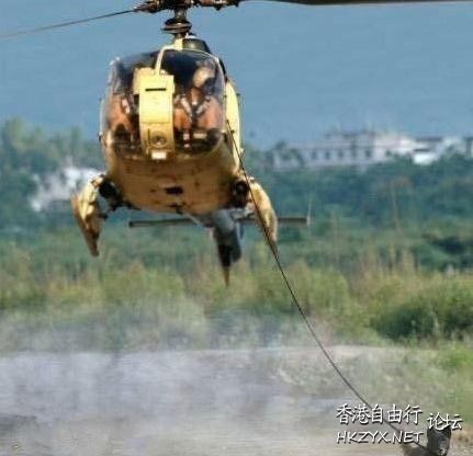 請勿問 Why 圖  專題報導