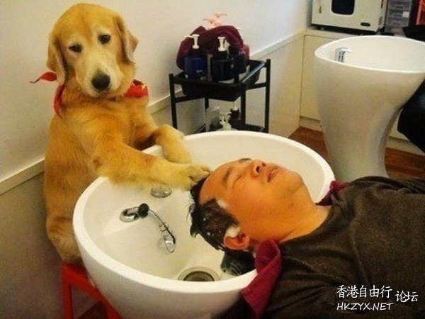   專題報導