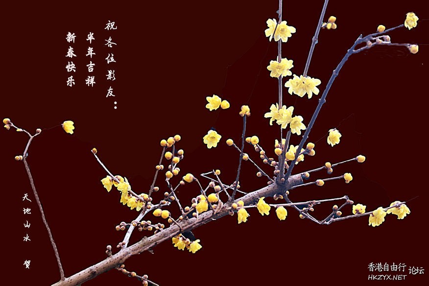鳥語花香  Photography 攝影特區