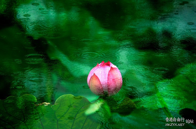   Photography 攝影特區