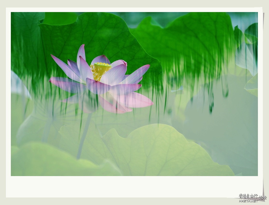   Photography 攝影特區