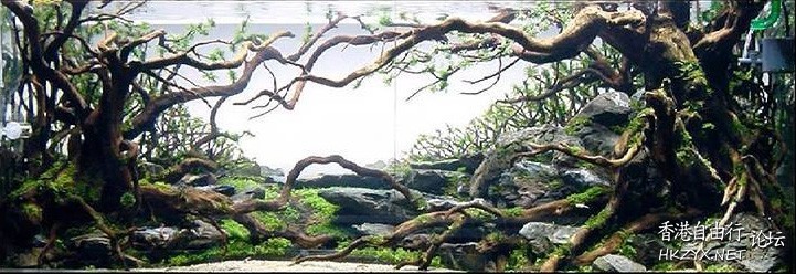 成與敗是人生永恆的課題  山水花林啓唔人生