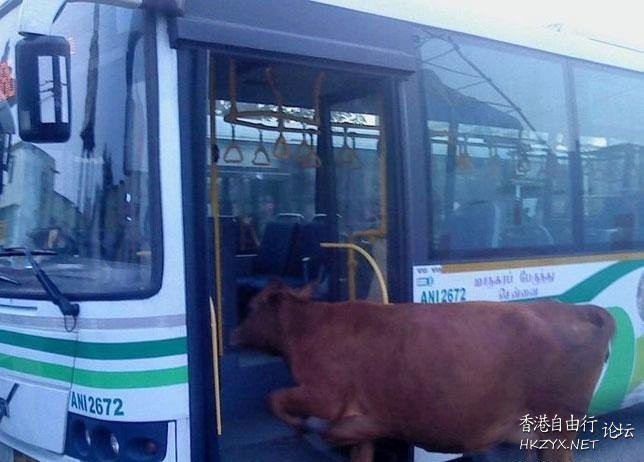   解悶園地