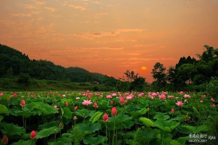   Photography 攝影特區