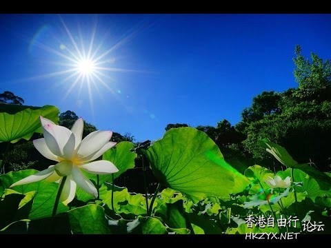   Photography 攝影特區