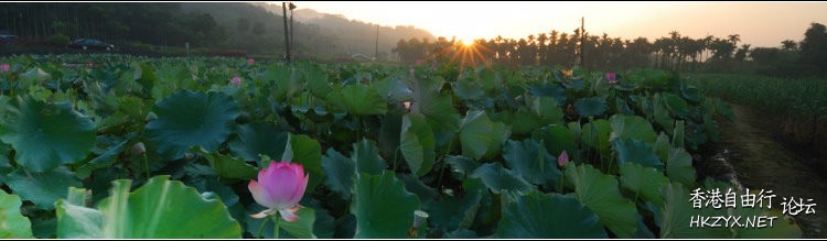   Photography 攝影特區