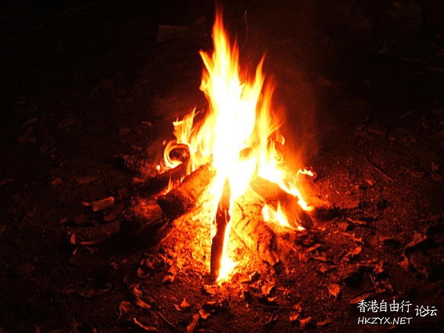 營火歌齊齊唱  中西樂器 + 歌曲欣賞