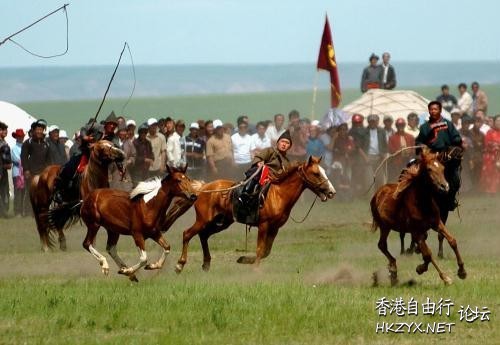 蒙古馬草原騁馳  Wild animal 野生動物