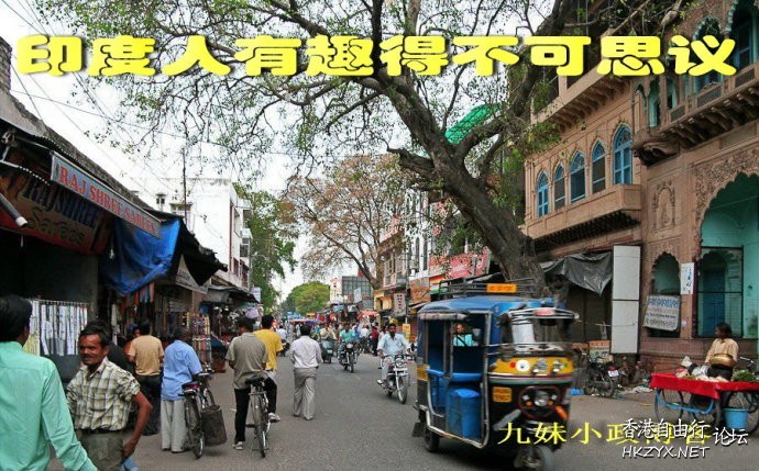 印度蛇節 靈蛇稱神  World Trave...欧美