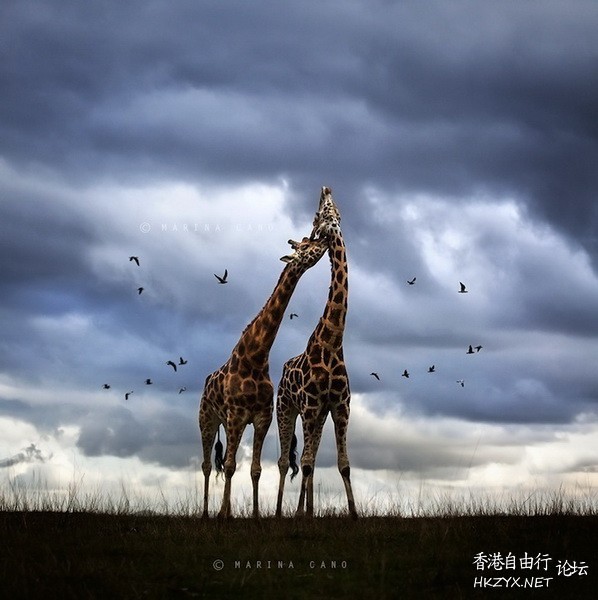   Ecology 生態留影